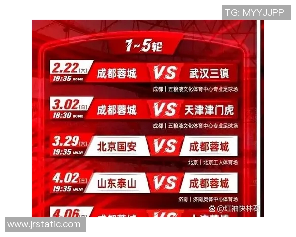 成都排球队的力量与魅力探讨聚焦排球运动的未来发展与挑战