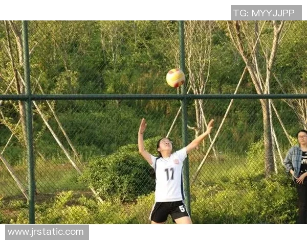 对话陈丽:回顾排球生涯的辉煌与挑战分享 对话陈丽:回顾排球生涯的辉煌与挑战分享